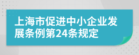 上海市促进中小企业发展条例第24条规定