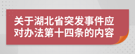 关于湖北省突发事件应对办法第十四条的内容