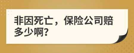 非因死亡，保险公司赔多少啊？