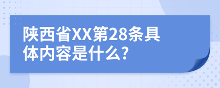 陕西省XX第28条具体内容是什么?