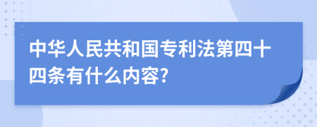 中华人民共和国专利法第四十四条有什么内容?