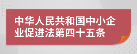 中华人民共和国中小企业促进法第四十五条