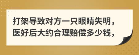 打架导致对方一只眼睛失明，医好后大约合理赔偿多少钱，