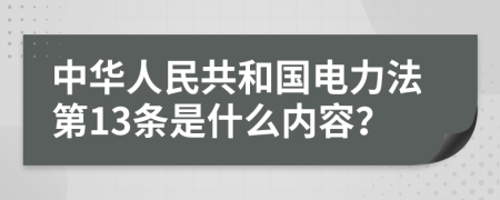 中华人民共和国电力法第13条是什么内容？