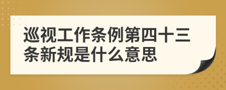 巡视工作条例第四十三条新规是什么意思