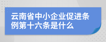 云南省中小企业促进条例第十六条是什么