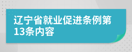 辽宁省就业促进条例第13条内容