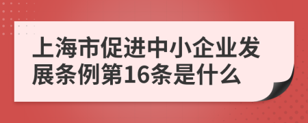 上海市促进中小企业发展条例第16条是什么