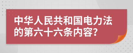 中华人民共和国电力法的第六十六条内容？