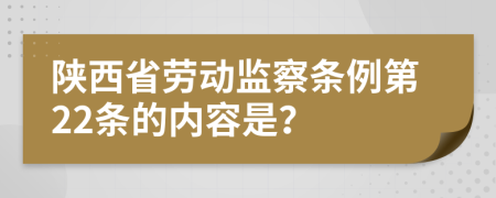 陕西省劳动监察条例第22条的内容是？