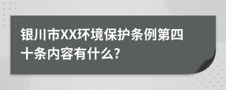 银川市XX环境保护条例第四十条内容有什么?