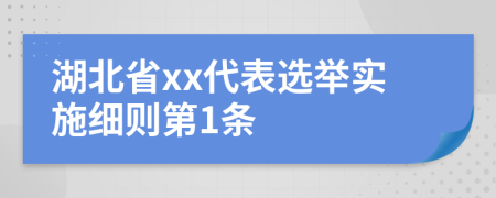 湖北省xx代表选举实施细则第1条