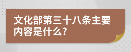 文化部第三十八条主要内容是什么?