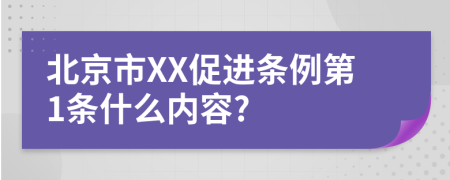 北京市XX促进条例第1条什么内容?