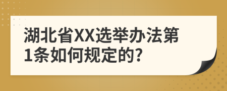 湖北省XX选举办法第1条如何规定的?