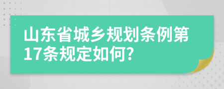 山东省城乡规划条例第17条规定如何?