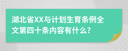 湖北省XX与计划生育条例全文第四十条内容有什么?