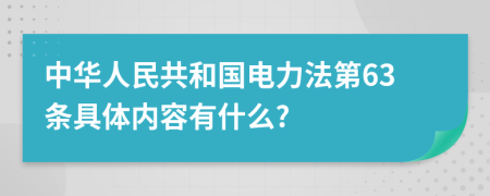 中华人民共和国电力法第63条具体内容有什么?