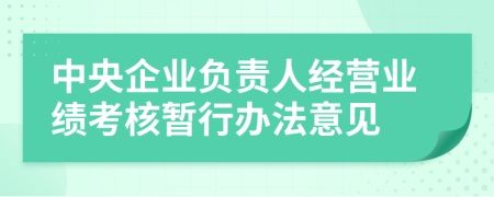 中央企业负责人经营业绩考核暂行办法意见