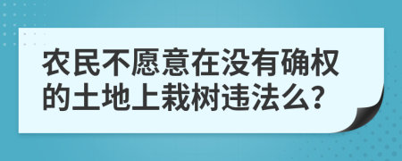 农民不愿意在没有确权的土地上栽树违法么？