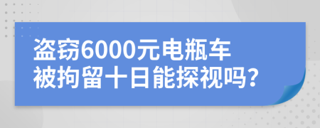 盗窃6000元电瓶车被拘留十日能探视吗？