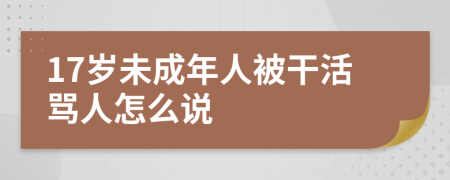 17岁未成年人被干活骂人怎么说