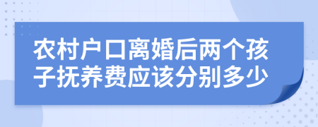 农村户口离婚后两个孩子抚养费应该分别多少