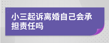 小三起诉离婚自己会承担责任吗