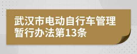 武汉市电动自行车管理暂行办法第13条