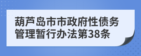 葫芦岛市市政府性债务管理暂行办法第38条