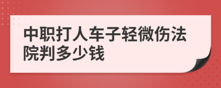 中职打人车子轻微伤法院判多少钱