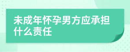 未成年怀孕男方应承担什么责任