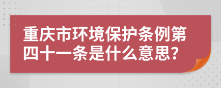 重庆市环境保护条例第四十一条是什么意思？