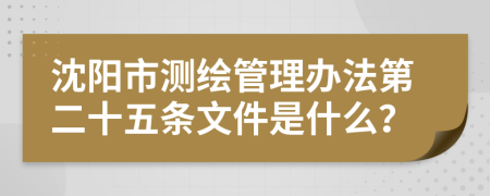 沈阳市测绘管理办法第二十五条文件是什么？