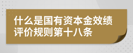 什么是国有资本金效绩评价规则第十八条