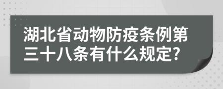 湖北省动物防疫条例第三十八条有什么规定?