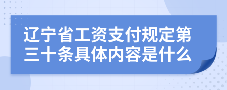 辽宁省工资支付规定第三十条具体内容是什么