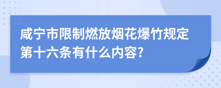 咸宁市限制燃放烟花爆竹规定第十六条有什么内容?