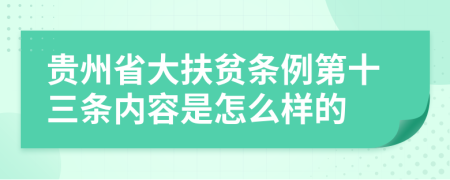 贵州省大扶贫条例第十三条内容是怎么样的