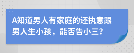 A知道男人有家庭的还执意跟男人生小孩，能否告小三？