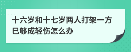 十六岁和十七岁两人打架一方巳够成轻伤怎么办