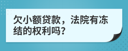 欠小额贷款，法院有冻结的权利吗？