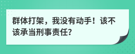 群体打架，我没有动手！该不该承当刑事责任？