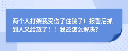 两个人打架我受伤了住院了！报警后抓到人又给放了！！我还怎么解决？