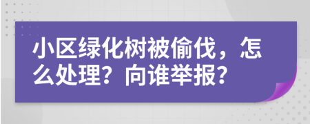 小区绿化树被偷伐，怎么处理？向谁举报？