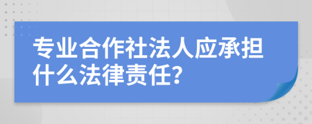 专业合作社法人应承担什么法律责任？