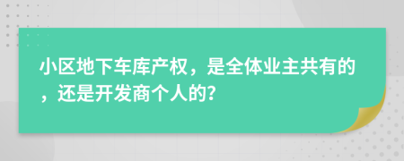 小区地下车库产权，是全体业主共有的，还是开发商个人的？