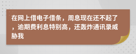 在网上借电子借条，周息现在还不起了，逾期费利息特别高，还轰炸通讯录威胁我