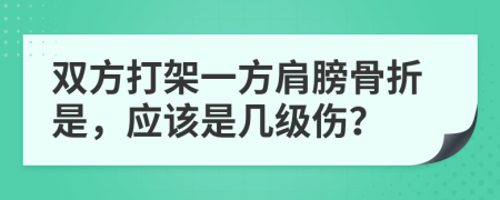 双方打架一方肩膀骨折是，应该是几级伤？