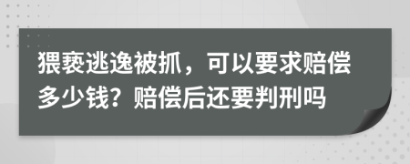 猥亵逃逸被抓，可以要求赔偿多少钱？赔偿后还要判刑吗